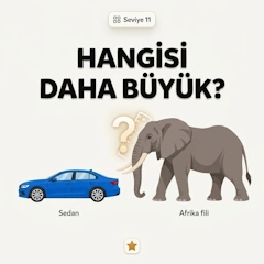 Hangisi Daha Büyük?